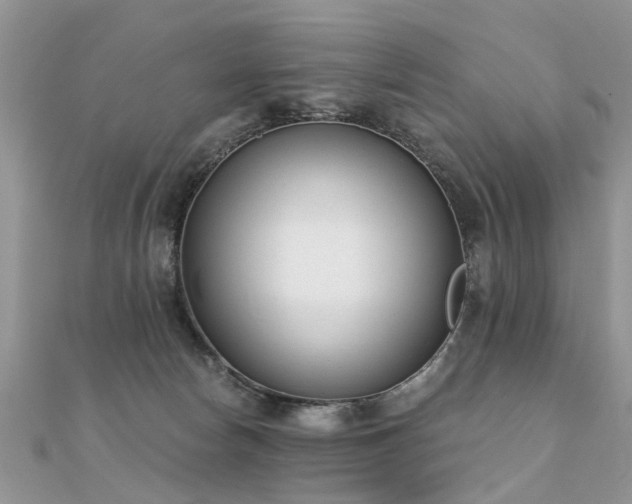 X0000112080178200908111503