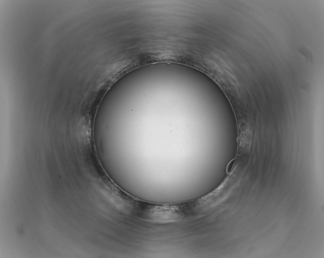 X0000112080179200908111503