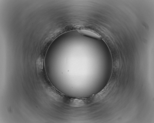 X0000112080180200908111503