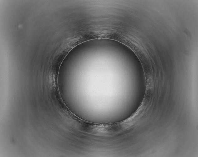 X0000112080182200908111503