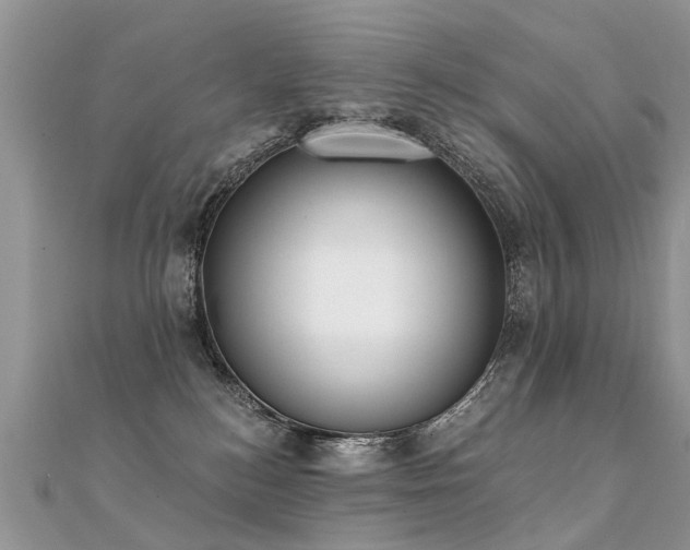 X0000112080184200908111503