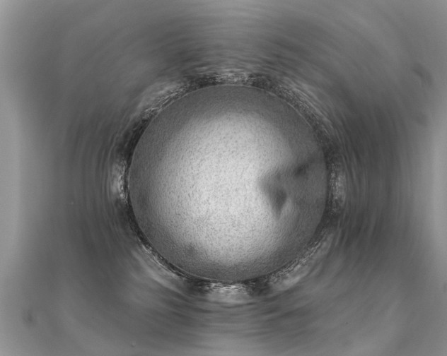 X0000112080185200908111503
