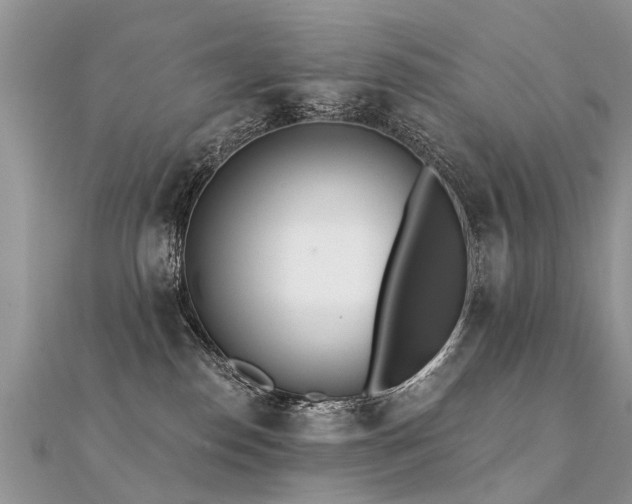 X0000112080186200908111503