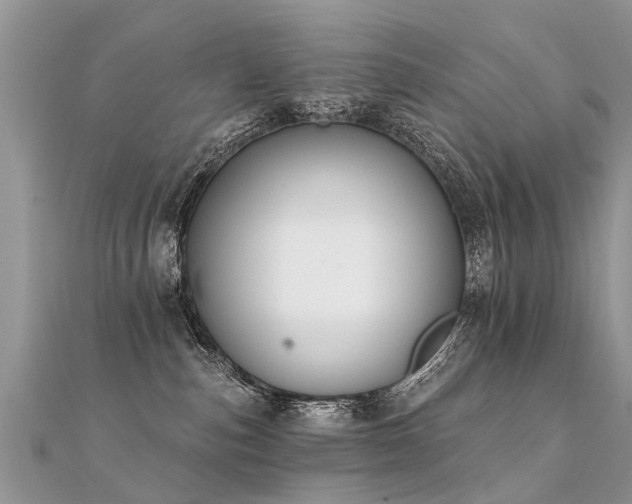 X0000112080187200908111503