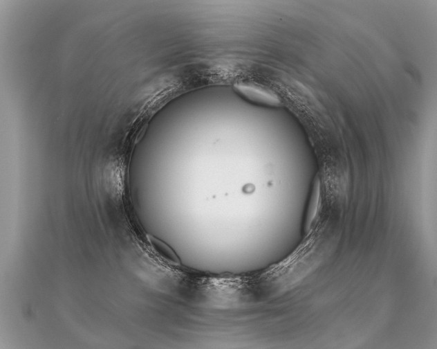 X0000112080188200908111503