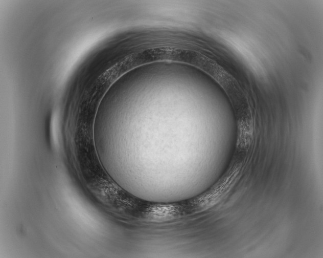 X0000112080189200908111503