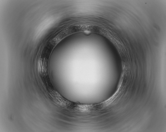 X0000112080190200908111503