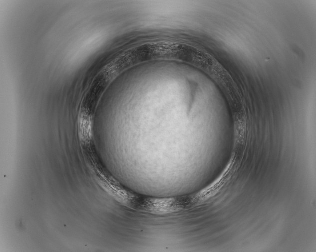 X0000112080191200908111503
