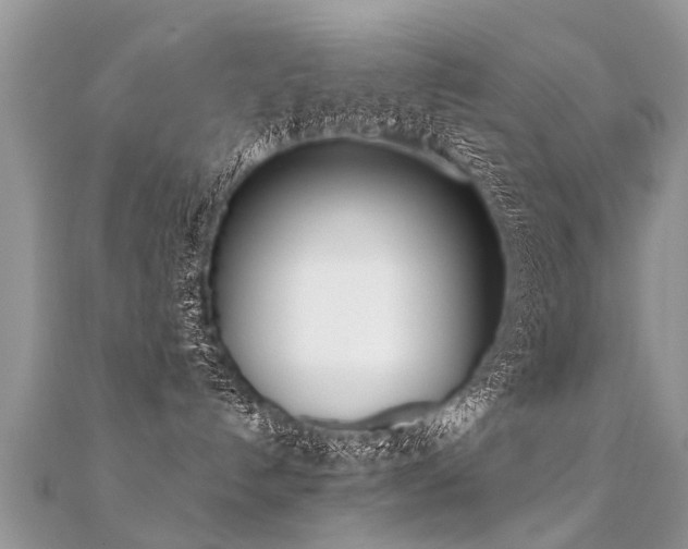 X0000112080192200908111503