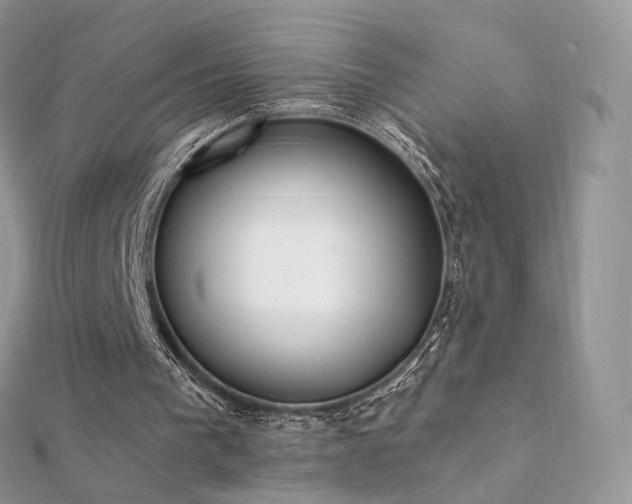 X0000112080193200908111502
