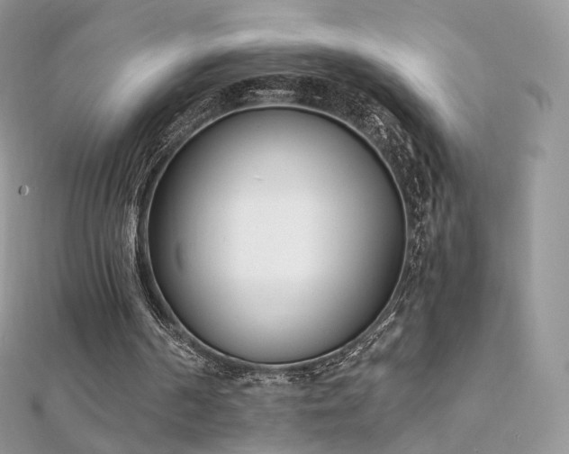 X0000112080194200908111502