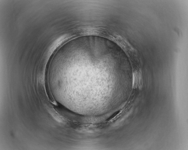 X0000112080195200908111502