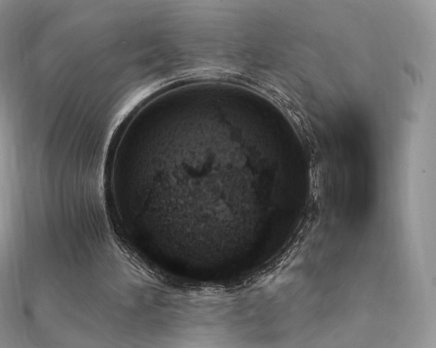 X0000112080196200908111502