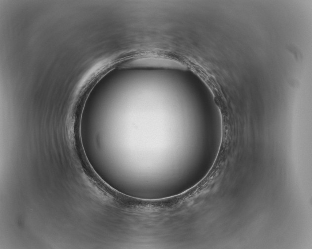 X0000112080197200908111502