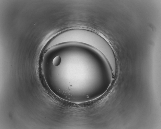 X0000112080199200908111502
