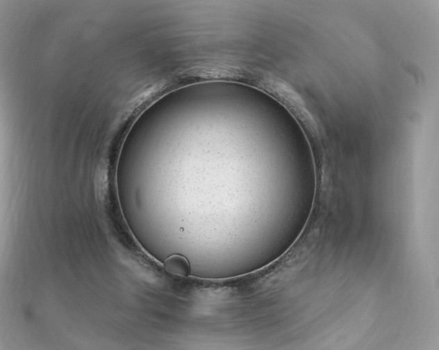 X0000112080202200908111502
