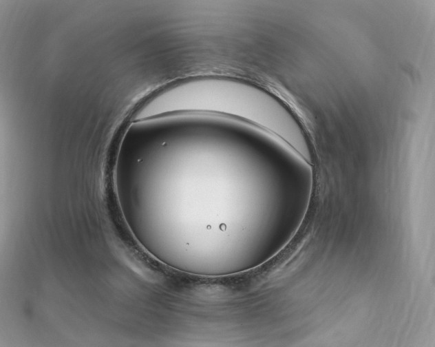 X0000112080203200908111502