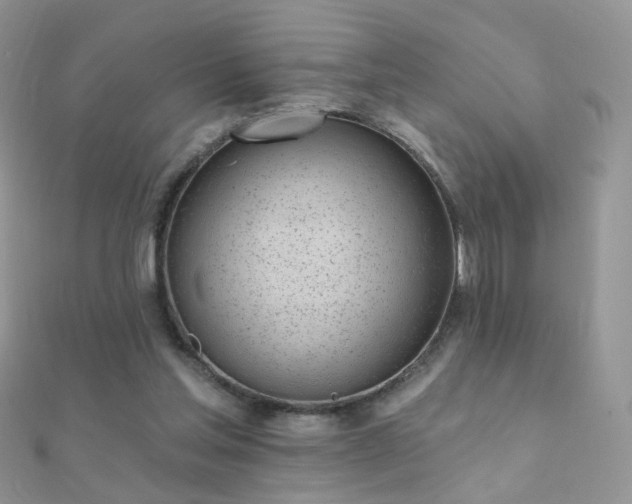 X0000112080205200908111502