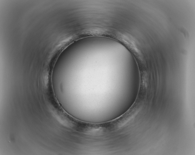X0000112080206200908111502