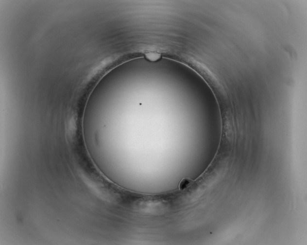 X0000112080208200908111502