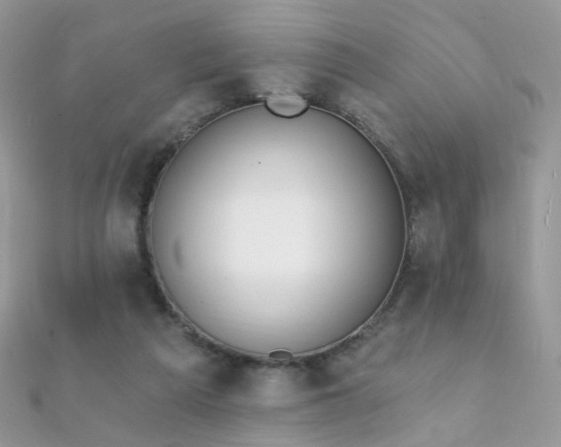 X0000112080209200908111502