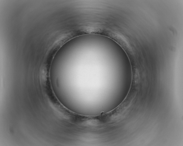 X0000112080210200908111502