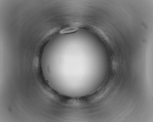 X0000112080211200908111502