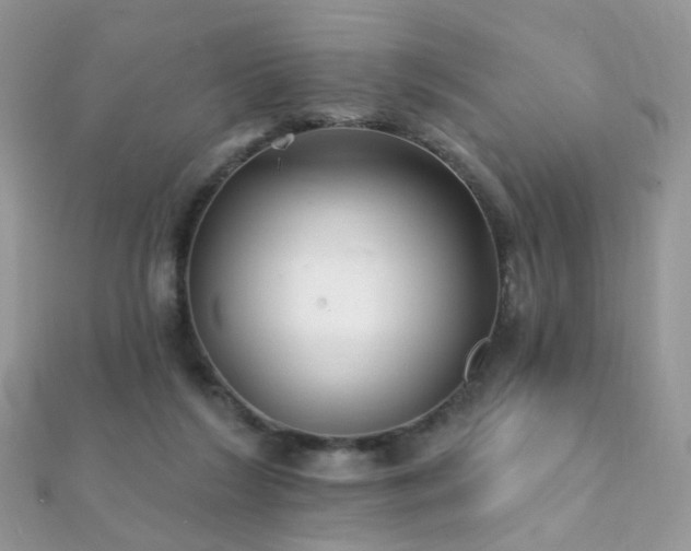X0000112080212200908111502