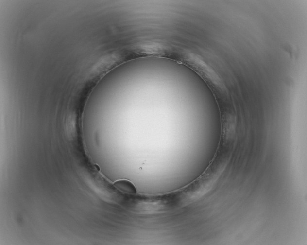 X0000112080213200908111502