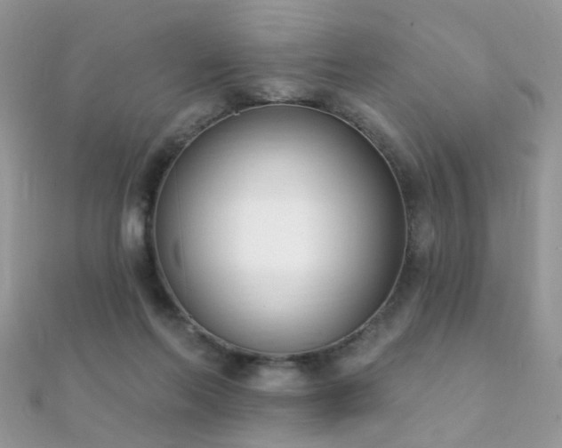 X0000112080214200908111502
