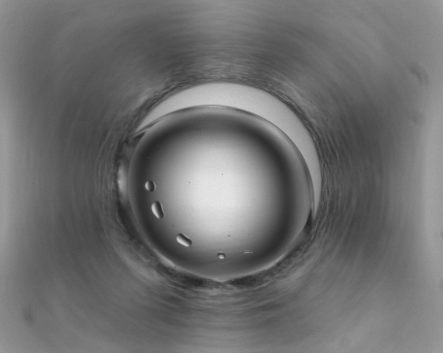 X0000112080215200908111502
