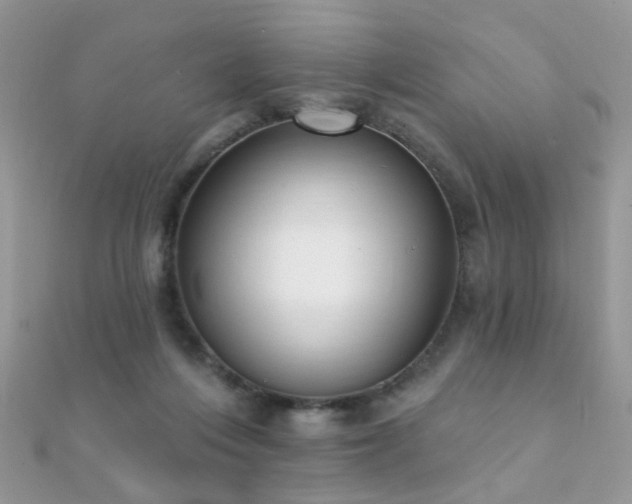 X0000112080216200908111502