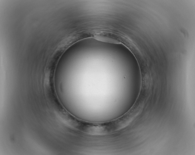 X0000112080217200908111502