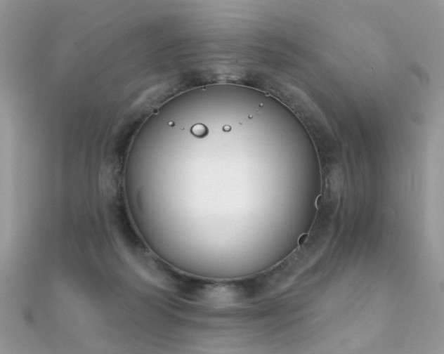 X0000112080218200908111502