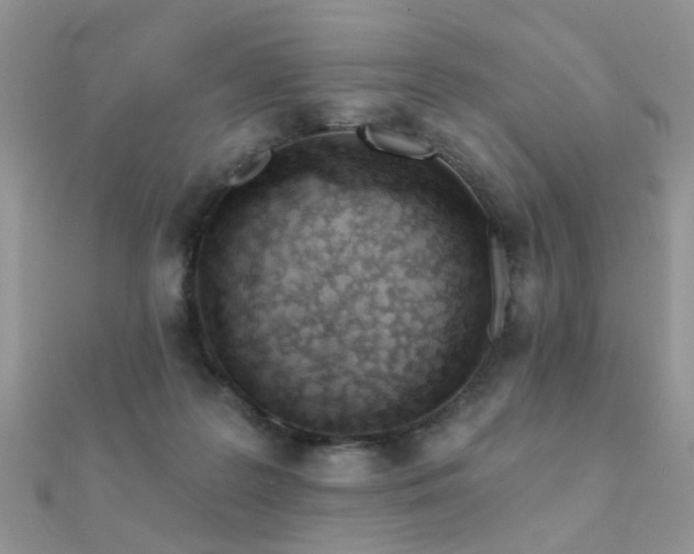 X0000112080219200908111502