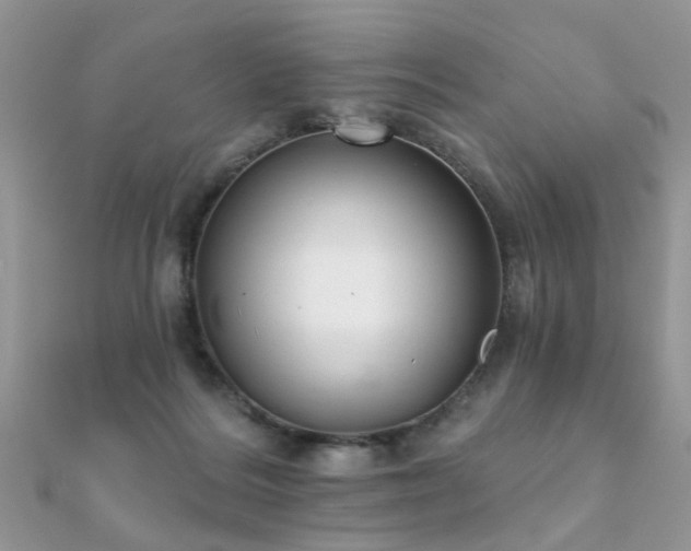 X0000112080220200908111502