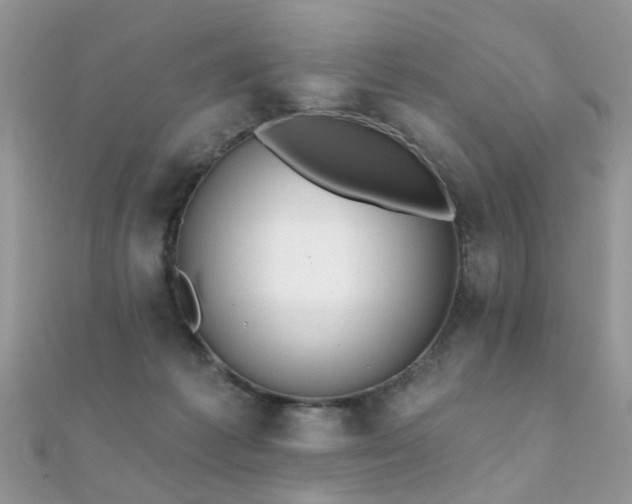 X0000112080221200908111502