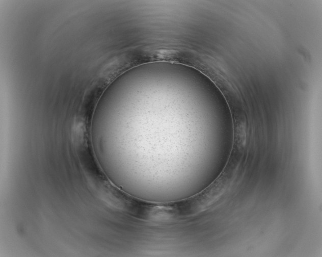 X0000112080222200908111502