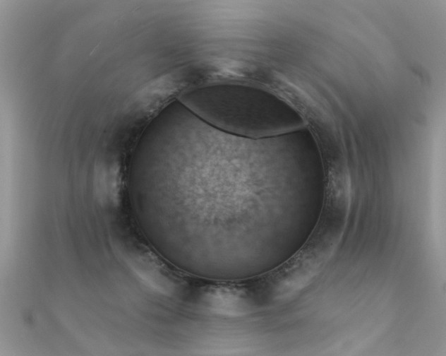 X0000112080223200908111502