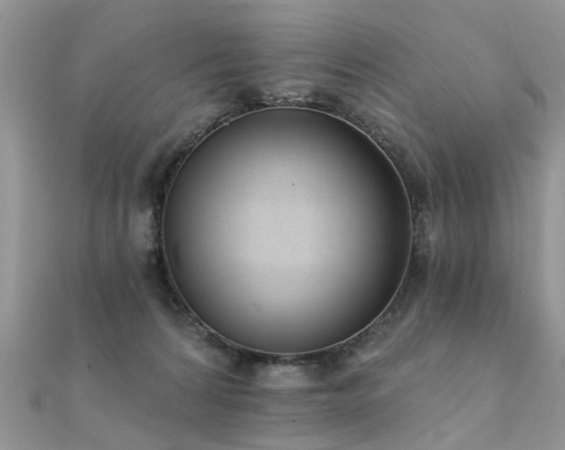 X0000112080224200908111502