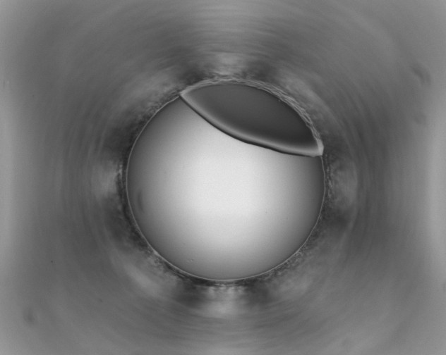 X0000112080225200908111502