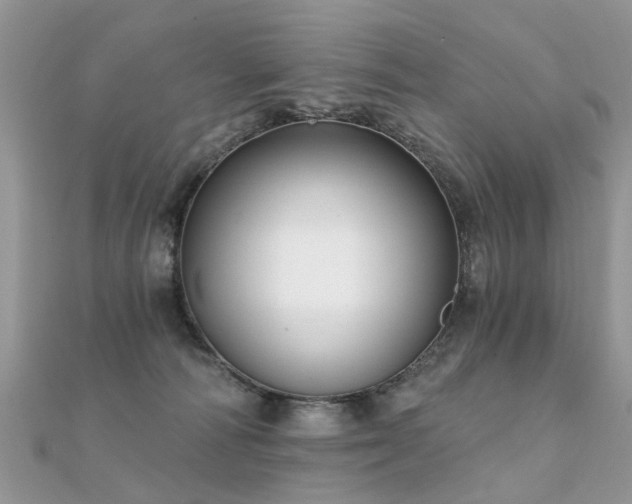 X0000112080226200908111502