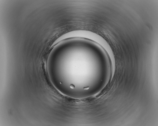 X0000112080229200908111502