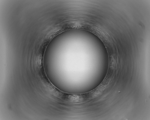 X0000112080230200908111502