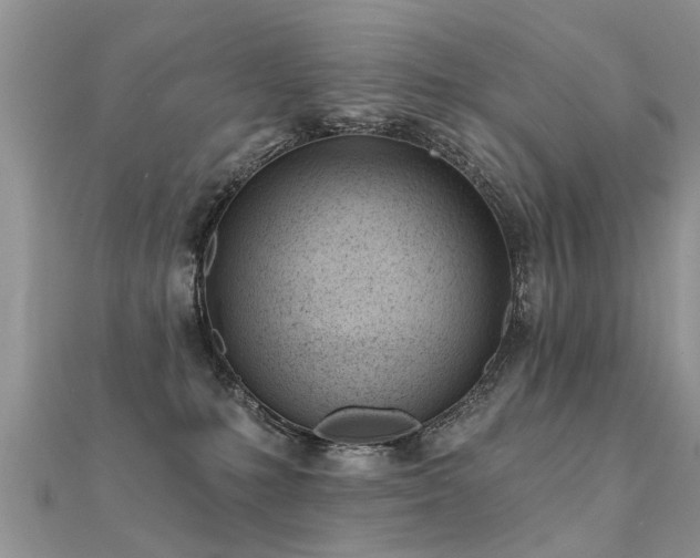 X0000112080231200908111502