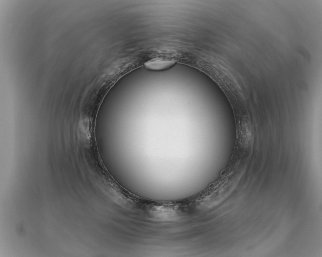 X0000112080232200908111502
