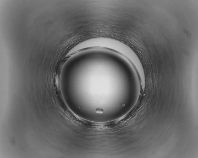 X0000112080233200908111502