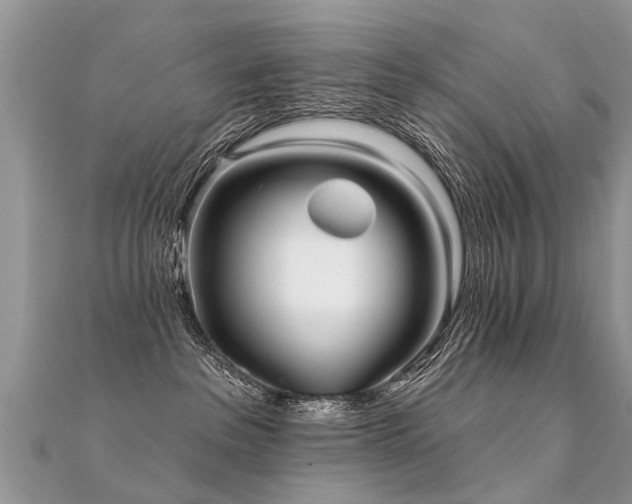 X0000112080237200908111502