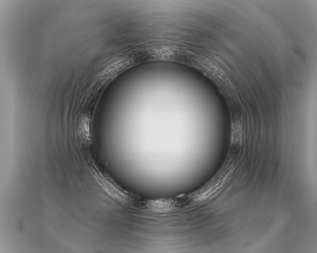 X0000112080238200908111502