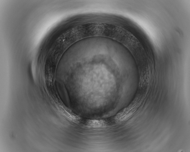 X0000112080239200908111502